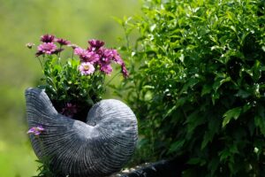 leafy garden plants