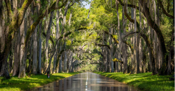 Places to Visit in Louisiana