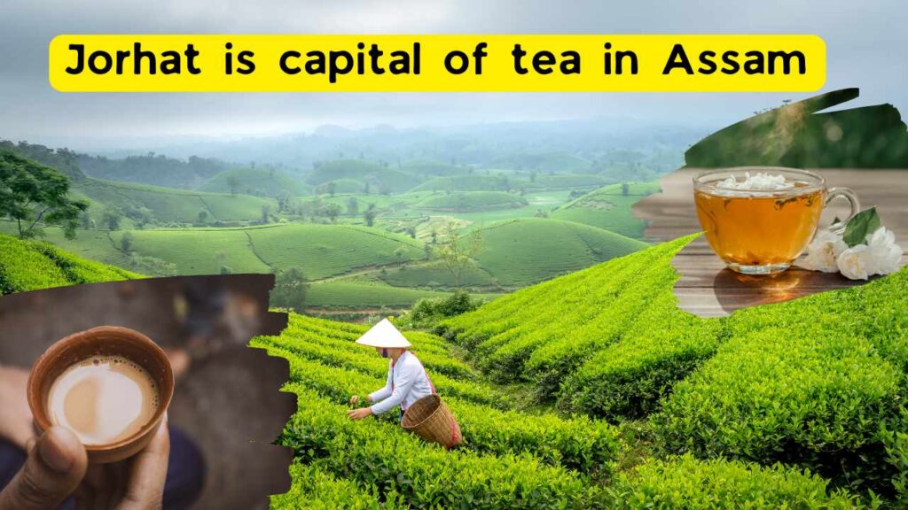 Jorhat is capital of tea in Assam