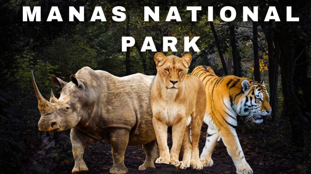 Manas National Park