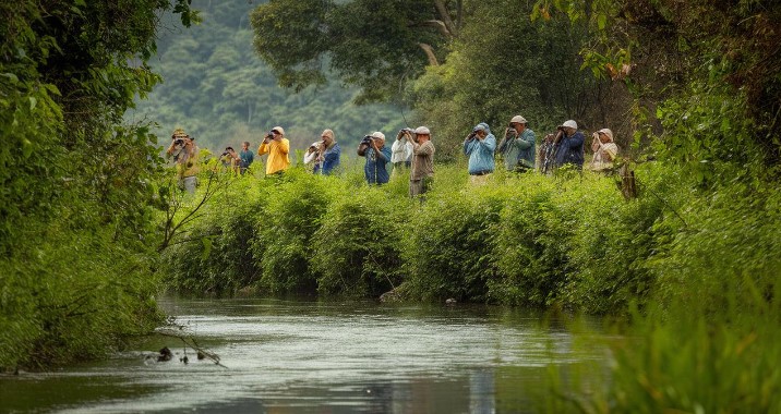 Places to Visit in Assam